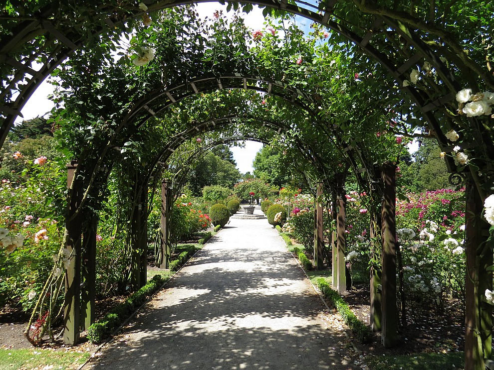 Rosengarten im Botanischen Garten